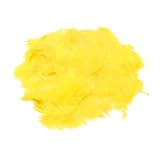Plumas Amarillo: Análisis y Comparativa de los Mejores Dulces y Chocolates