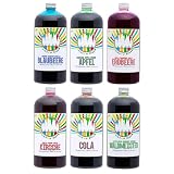 Sirope de granizado arcoíris sin AZO de Hopser Food Fun | Botella de 6 x 1 litro | Concentrado para máquina de hielo, máquinas de helados, bebidas de 1:5 a 1:20 (6 mezclas)